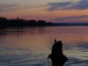 Bords de loire, vers La Pointe, Bouchemaine