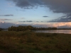 Bords de loire