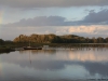 Bords de loire