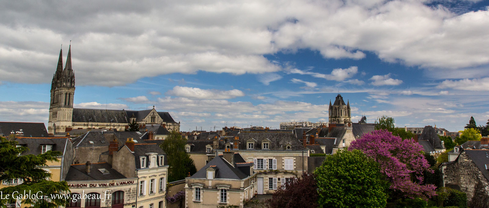 Château d\'Angers