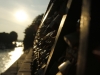 Autour du pont des Arts : cadenas enlacés