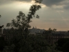 Parc des Buttes-Chaumont